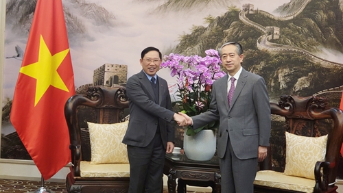 Chủ tịch UBND tỉnh Bắc Giang Lê Ánh Dương thăm, chúc Tết các Đại sứ quán Trung Quốc và Singapore