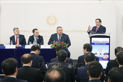 Thúc đẩy hợp tác đầu tư, kinh doanh giữa Việt Nam và Romania