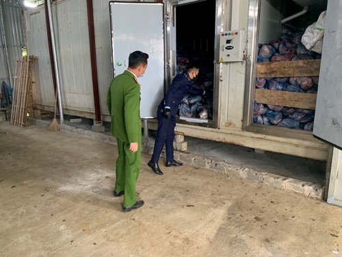 Hà Nội Phát hiện 40 tấn thịt lợn bệnh chuẩn bị cung ứng ra thị trường