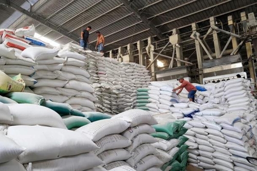 Chính phủ xuất cấp thêm hơn 1 444 tấn gạo cho 5 tỉnh