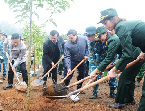 Thủ tướng chỉ thị tổ chức Tết trồng cây và tăng cường công tác quản lý, bảo vệ, phát triển rừng
