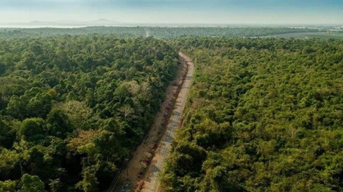 Nâng cao chất lượng rừng nhằm bảo tồn hệ sinh thái rừng và phòng, chống thiên tai đến năm 2030