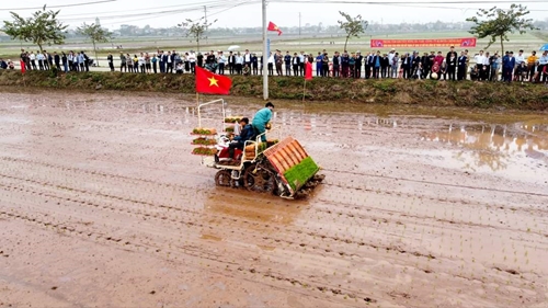 Hội thi nông dân cấy lúa giỏi bằng máy ở Hà Nam
