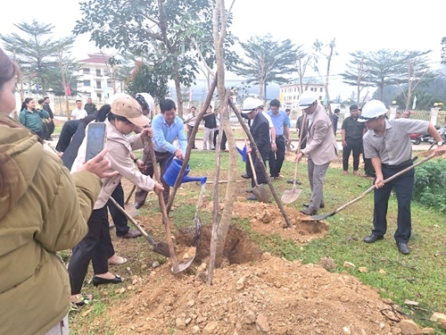 “Tết trồng cây” xuân Giáp Thìn 2024 tại huyện miền núi Nam Giang