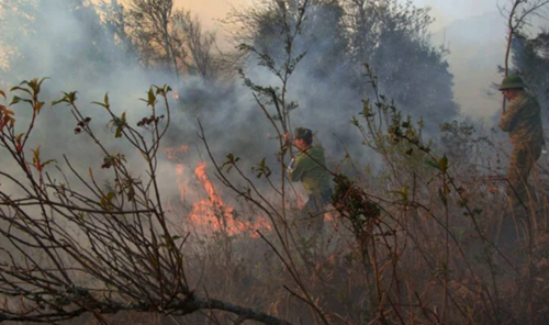 Lào Cai Huy động gần 500 người chữa cháy rừng tại Vườn quốc gia Hoàng Liên