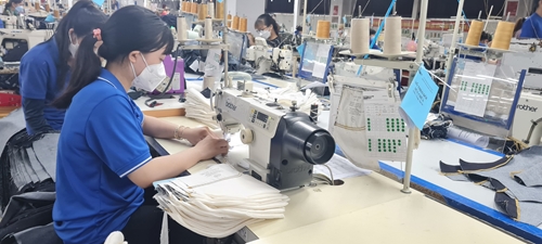 Nhiều doanh nghiệp tỉnh Bình Phước có nhu cầu tuyển dụng lao động sau Tết