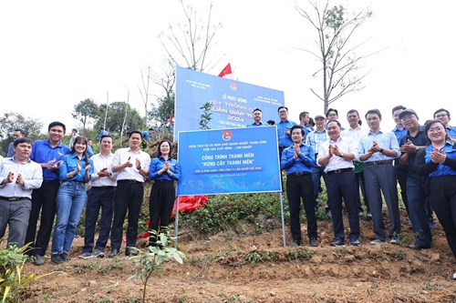 Trồng 10 000 cây xanh và gắn biển công trình rừng cây thanh niên ở Lai Châu