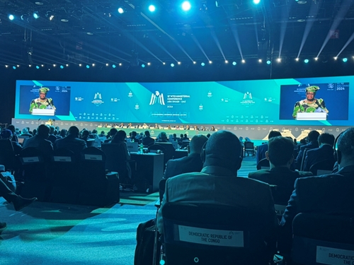 Khai mạc Hội nghị Bộ trưởng WTO lần thứ 13 tại UAE