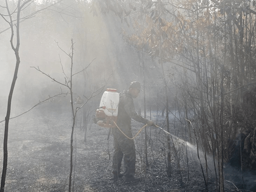 Cảnh báo nguy cơ cháy rừng ở cấp cao tại Kiên Giang do hanh khô