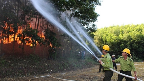 Chủ động ứng phó với nguy cơ cháy rừng mùa khô 2024