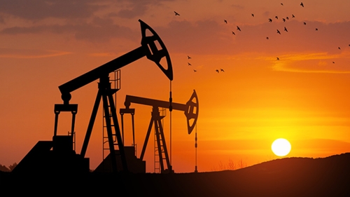 OPEC+ gia hạn cắt giảm sản lượng dầu tới quý II 2024