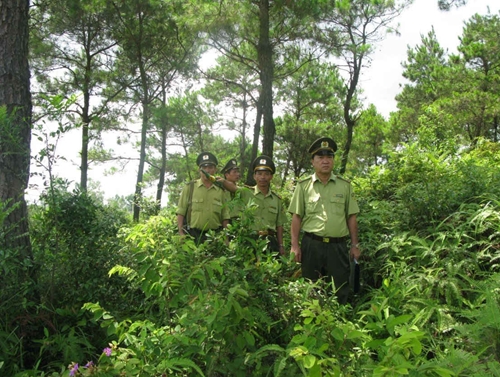 Tăng cường sự lãnh đạo của Đảng đối với công tác quản lý, bảo vệ và phát triển rừng