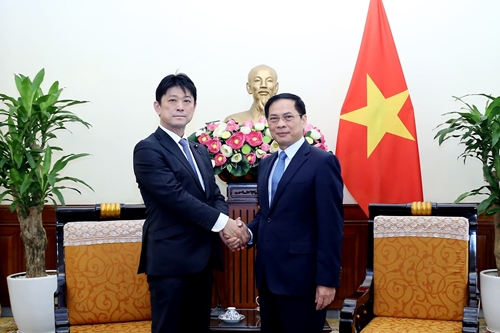 Thúc đẩy quan hệ Đối tác chiến lược toàn diện Việt Nam - Nhật Bản