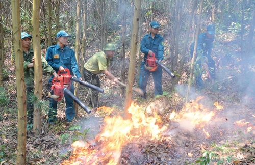 Khánh Hòa Trên 61 000 ha rừng có nguy cơ cháy cao