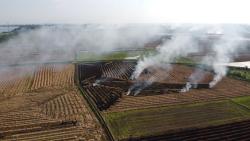Giảm phát thải khí metan trong xử lý phế phụ phẩm cây trồng tại Việt Nam
