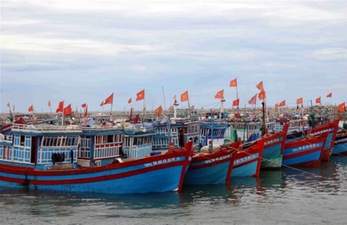 Gỡ thẻ vàng  Thủy sản Việt Nam tập trung vào chuỗi giá trị bền vững