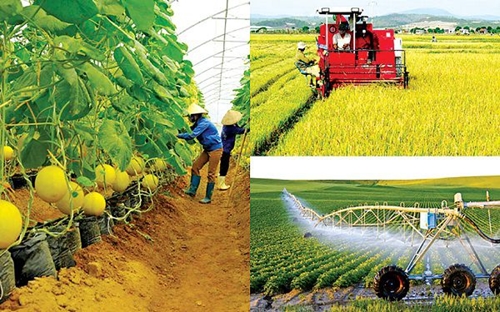 Ngành Nông nghiệp thích ứng với biến đổi khí hậu