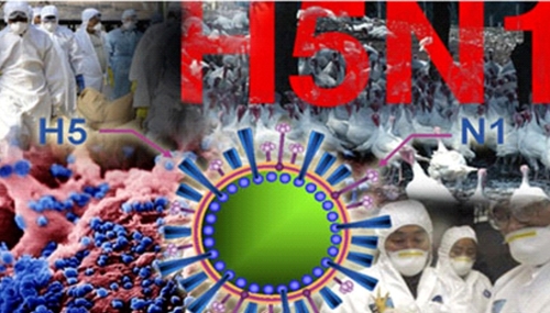 Bộ Y tế thông tin về trường hợp tử vong do mắc cúm A H5N1 tại Khánh Hòa