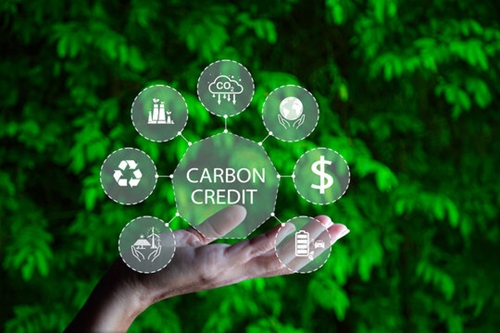Tín chỉ carbon và lợi ích của thị trường tín chỉ carbon