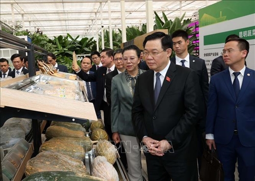 Chủ tịch Quốc hội thăm một số mô hình kinh tế tiêu biểu tỉnh Vân Nam Trung Quốc