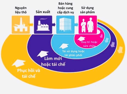 Hỗ trợ chuyển đổi sang phát triển công nghiệp toàn diện và bền vững ở Việt Nam