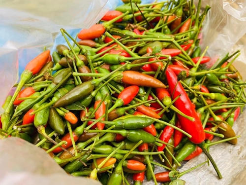 Xuất khẩu ớt sang thị trường Trung Quốc đạt 4,2 triệu USD