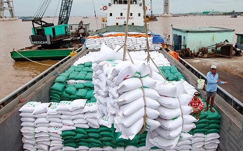 Triển khai các giải pháp đẩy mạnh xuất khẩu gạo