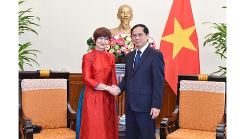 Việt Nam luôn coi trọng hợp tác đa phương và vai trò của UNESCO