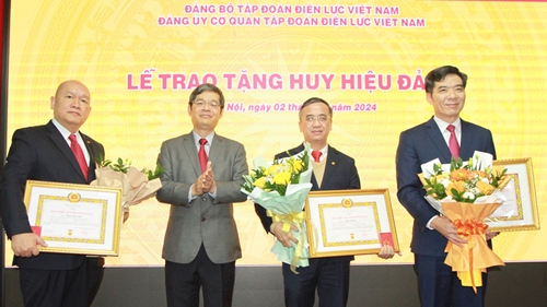 Đảng ủy Cơ quan Tập đoàn Điện lực Việt Nam tổ chức Lễ trao tặng Huy hiệu 30 năm tuổi Đảng