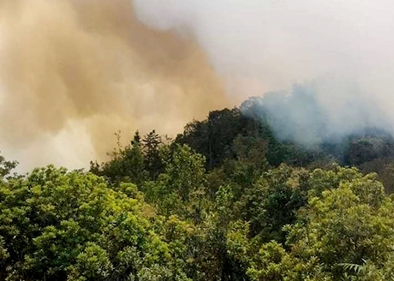 Hai cán bộ kiểm lâm tử nạn khi chữa cháy rừng tại Hà Giang