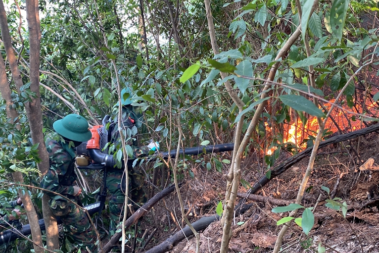 Hàng trăm cán bộ, chiến sĩ và người dân tham gia chữa cháy rừng tại Nghệ An