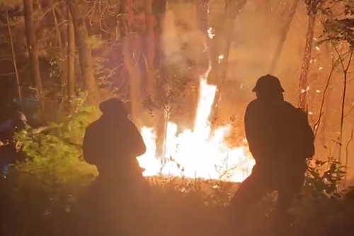 Trắng đêm dập lửa cứu rừng
