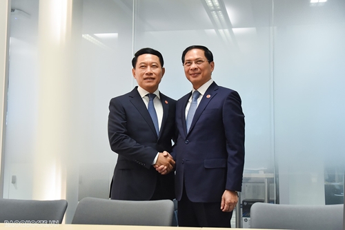 Việt Nam tiếp tục ủng hộ và hỗ trợ Lào đảm nhiệm thành công vai trò Chủ tịch ASEAN