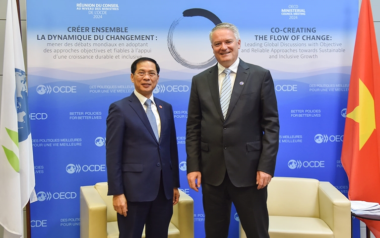 Bộ trưởng Ngoại giao Bùi Thanh Sơn tiếp Tổng Thư ký OECD
