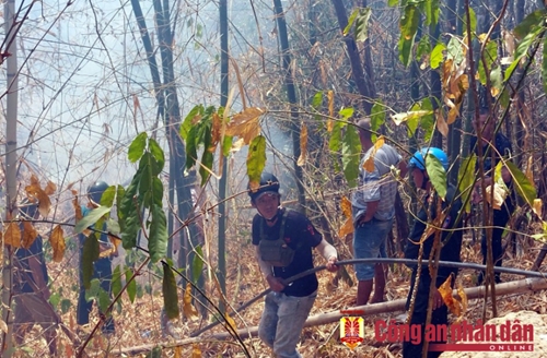Các tỉnh phía Nam quyết liệt triển khai các biện pháp phòng cháy, chữa cháy rừng