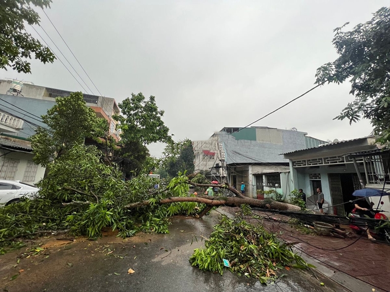 Mưa lớn kèm theo dông lốc gây nhiều thiệt hại tại Lào Cai