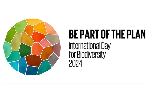 Hưởng ứng Ngày Quốc tế đa dạng sinh học năm 2024