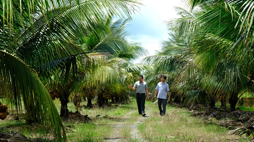 Lâm Đồng phát triển ngành nông nghiệp tuần hoàn