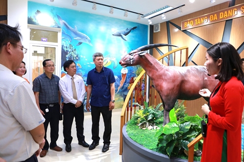 Bảo tàng đa dạng sinh học cấp tỉnh đầu tiên ở Việt Nam