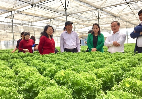 Lâm Đồng Phát triển Kinh tế nông nghiệp theo hướng toàn diện, bền vững và hiện đại