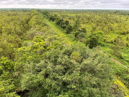 Gia Lai, Bình Định, Phú Yên, Đăk Lăk phối hợp quản lý, bảo vệ rừng