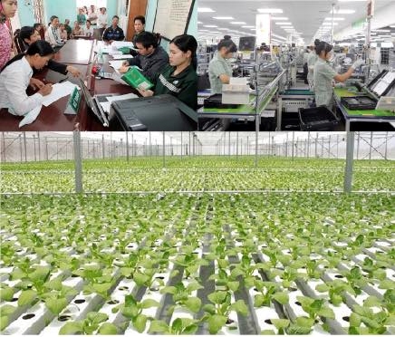 Thúc đẩy thực hiện tiêu chí gắn với tăng trưởng xanh cho các doanh nghiệp nhỏ và vừa ở Việt Nam