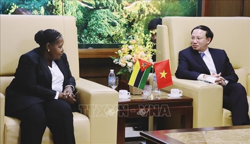 Investment and tourism cooperation between Mozambique and Vietnamese locality to be promoted