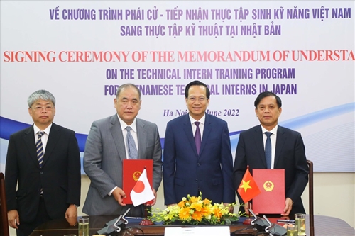 More Vietnamese interns to be sent to Japan