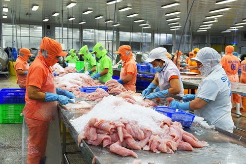 Over 110 markets import Vietnamese pangasius products