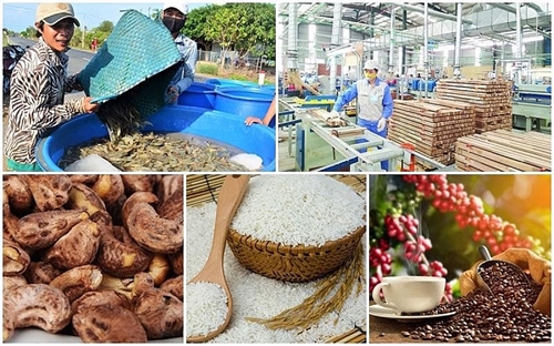 Export of agricultural products in first 6 months reach 27 88 billion USD