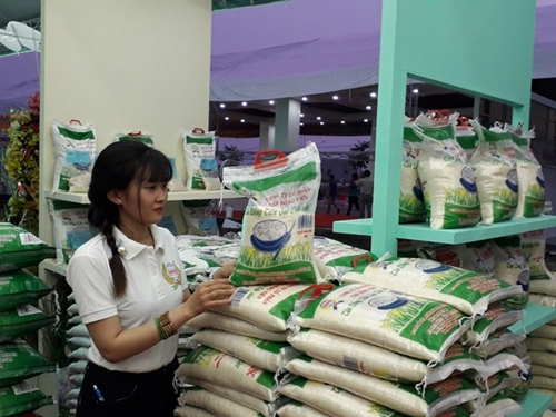 Vietnam s high-quality rice promoted to export