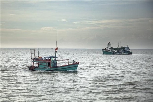 Vietnam ready to cooperate and share experience in combating illegal fishing spokesperson