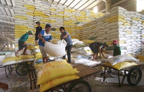 The US increases rice imports from Vietnam