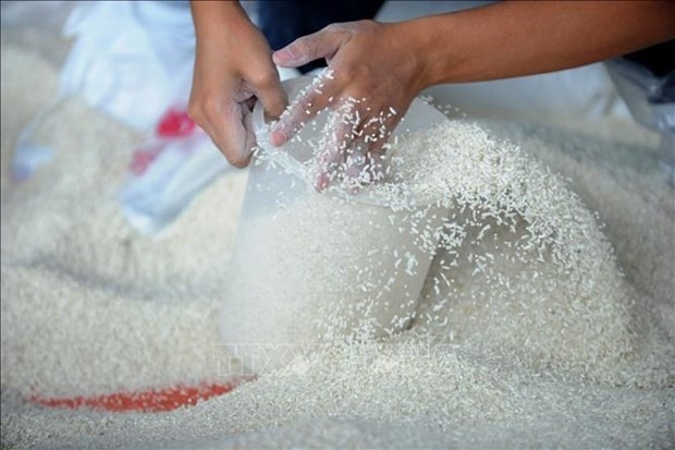 Vietnam exports nearly 4 2 million tonnes of rice in seven months